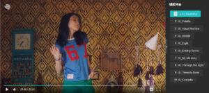 wideo-plus 视频播放器增强版购买下载-熊猫领地