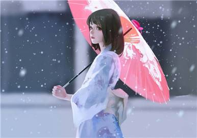 怎样在你的wordpress主题中使用简码-熊猫领地